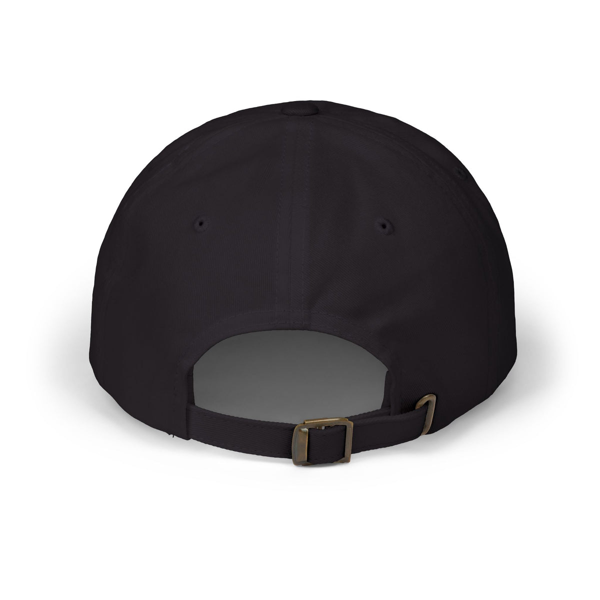 VCSR Dad Hat