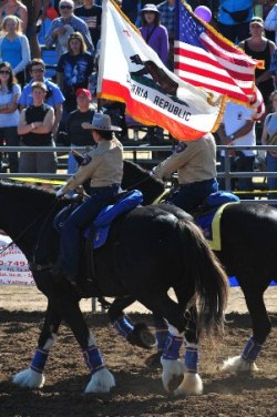 volunteer with the rodeo